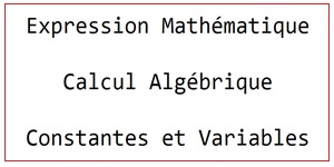 Expressions et Termes Algébriques